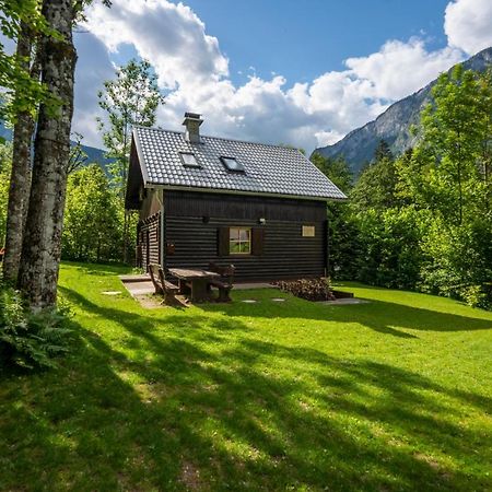 Chalet Tisa بوينج المظهر الخارجي الصورة